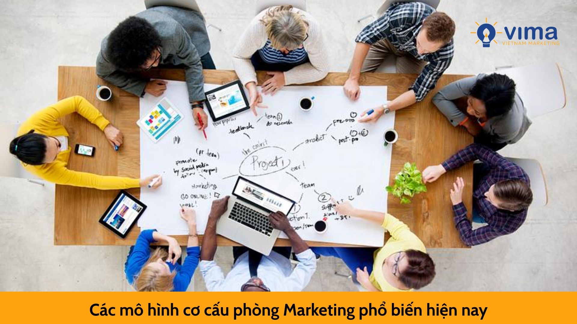 Các mô hình cơ cấu phòng Marketing phổ biến hiện nay